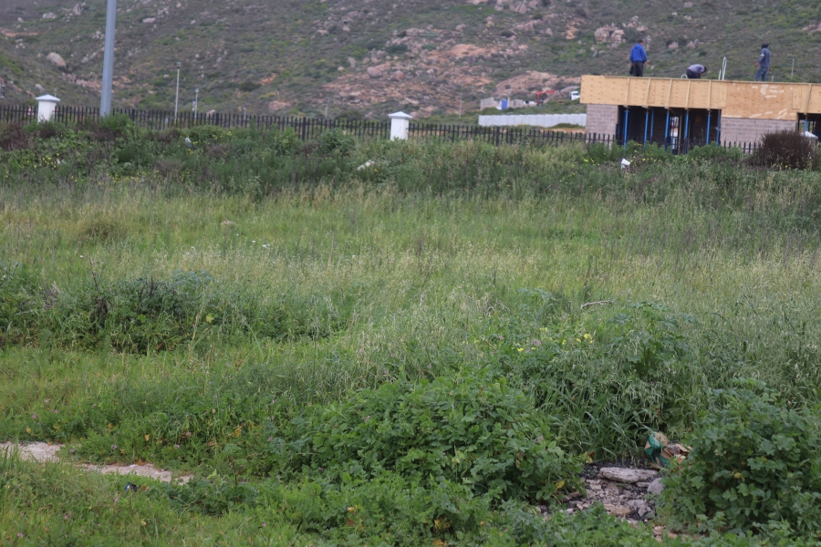 0 Bedroom Property for Sale in Steenbergs Cove Western Cape